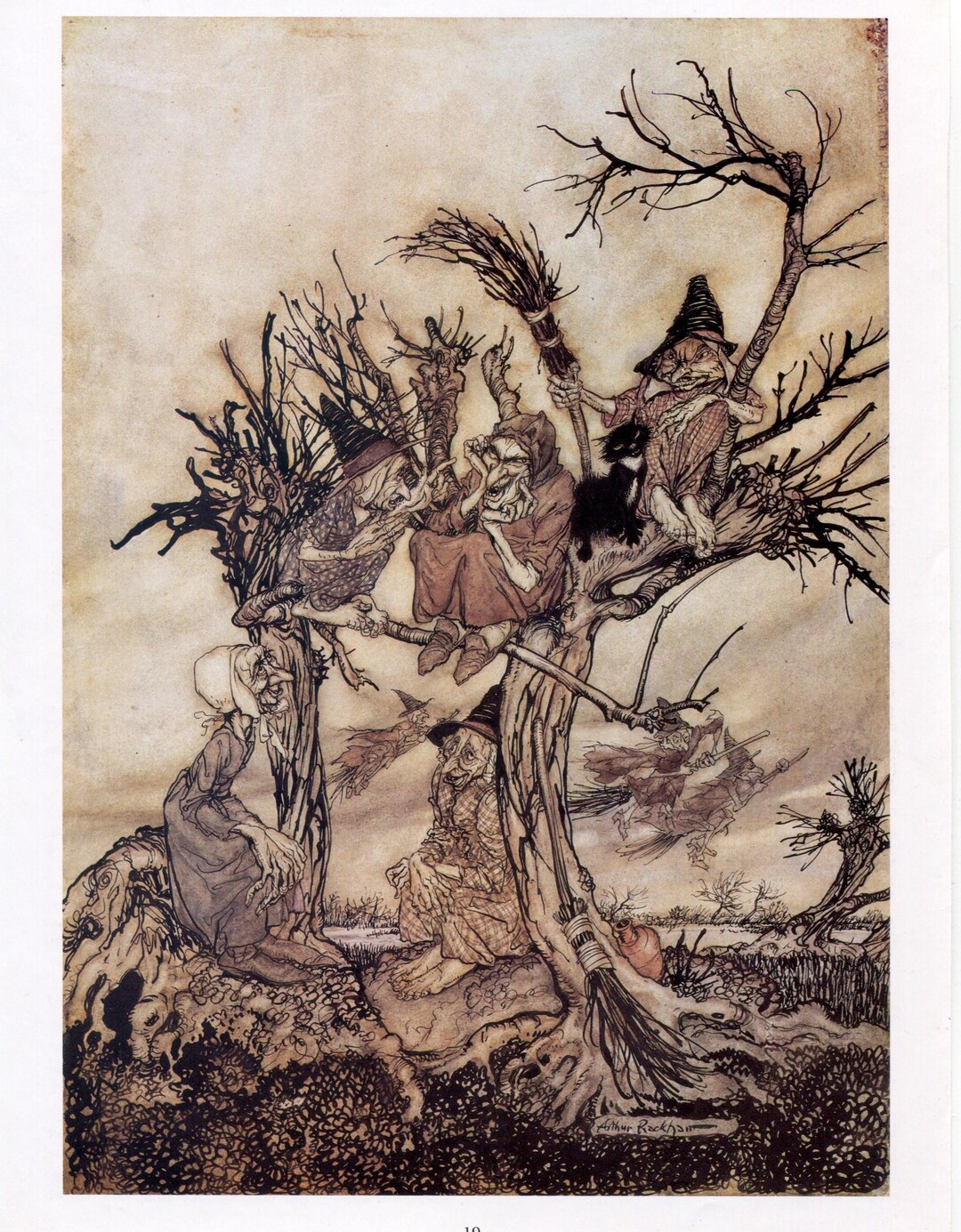 Arthur Rackham Bookplate Illustration Print, the Witches' Meeting, Wall ...