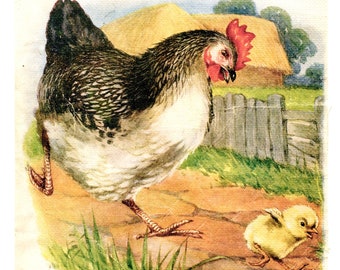 Vintage 1920 Naughty Chick Bookplate,  Illustration, Print, Book Page, Hen Chasing her Chick, Farm Print, Kitchen, Hen House