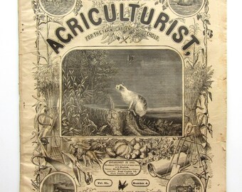 Antique April, 1881 American Agriculturist Illustrated Magazine, Farm, Garden and Household News, Engraved Illustrations, Articles, Farm