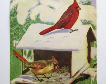 Vintage 1940's Original Cardinal Birds at Bird Feeder in the Winter Bookplate  Illustration, Print by Jacob Bates Abbot