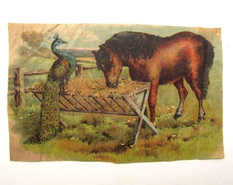 Antique Linen 1890 Era Book Page, Original Raphael Tuck Page Scene, Peacock Keeping Company with a Horse in the Barnyard, Decor, Artwork