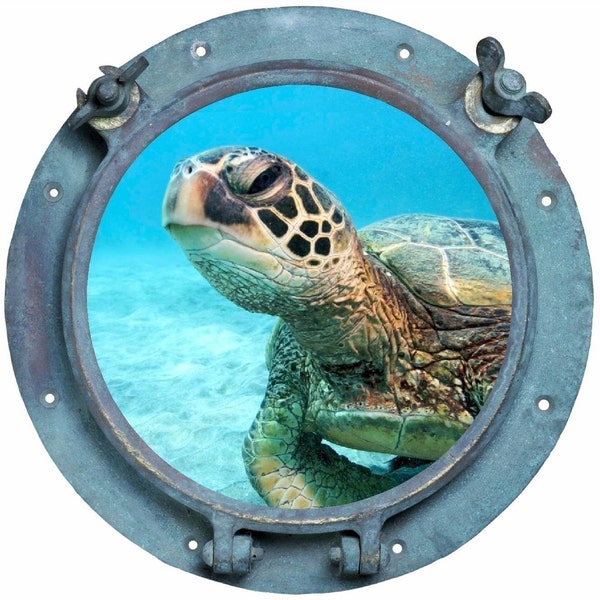 Peek-A-Boo - Sea Turtle Porthole.... - Vinyl Decal