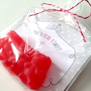 May include: A clear plastic bag tied with pink and white twine contains two red gummy bears and a white card with the text "You're Bear-y Sweet!" printed in black with a small red heart.