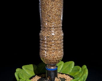 Bird Feeder Bottle Cap – Effortless Feeding, Endless Bird Watching!