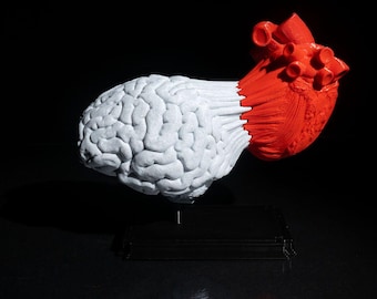 The Dual Harmony: Magnetic Mind & Heart Statue