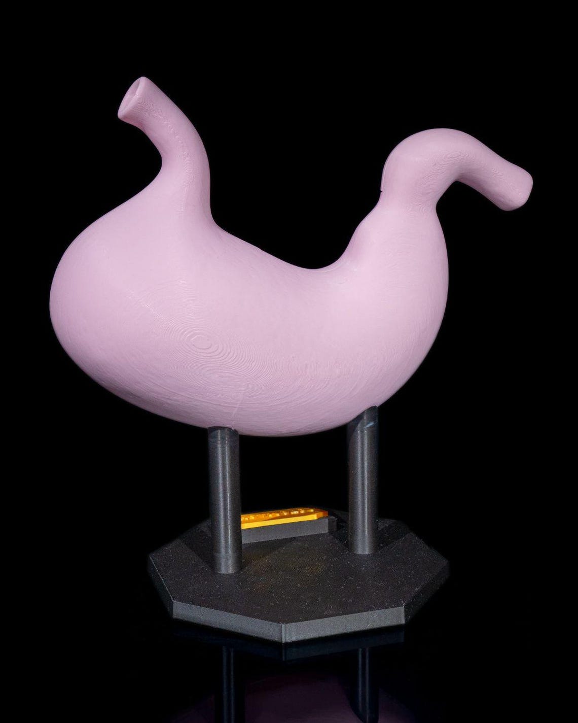 3D Printed Stomach Model – A Detailed Educational Tool for Digestive ...