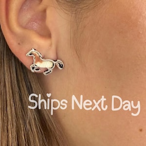 Horse Rider Earrings Mare Gift Western Theme Cowboy Earrings Cowgirl Earrings Cowboy Jewelry Cowgirl Theme Horse Jewelry Horse Back Riding