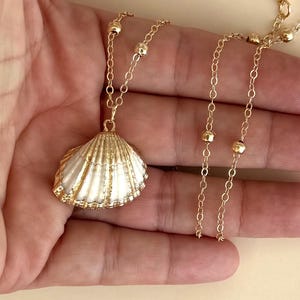 Shell Necklace Seashell Pendant Shell Charm Seashell Jewelry Gift for Ocean Lover Seaside Necklace Beach Theme Jewelry Cute Shell Lover