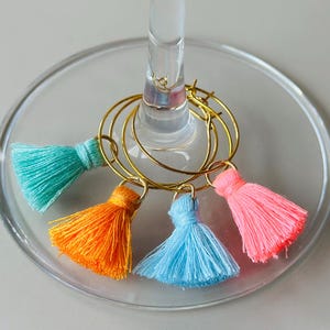 Tassel Drink Glass Markers Cute Tassel Wine Charms Assorted Drink Markers Color Tassel Wine Glass Charms Glass Decor Custom Wine Drink Tags