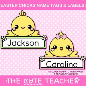 Easter Chicks Name Tags - Cute Spring Themed Bulletin Board & Holiday Classroom Decor