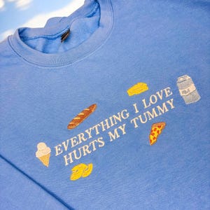 Può includere: Felpa azzurra con ricami di cibo: gelato, pane, formaggio, pizza e un cartone di latte. Il testo "EVERYTHING I LOVE HURTS MY TUMMY" è ricamato sopra le illustrazioni.
