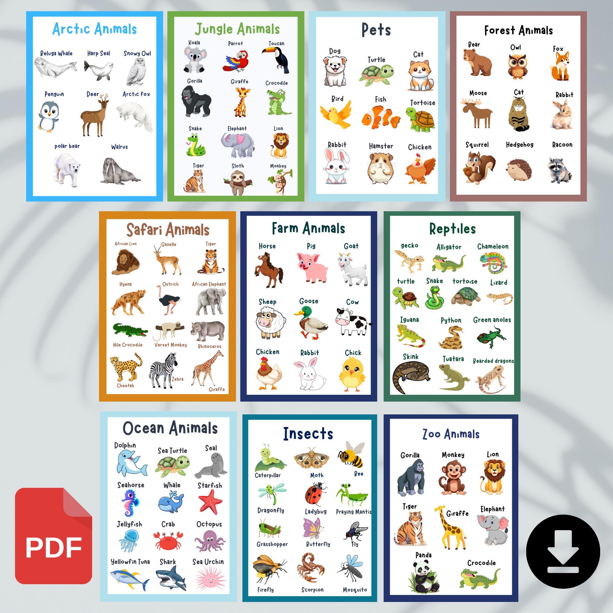 10 Animals Wall Chart for Classroom Bundle Sea, Forest, Jungle, Farm