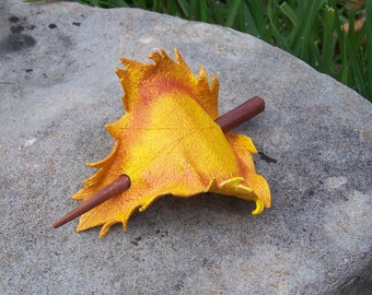 Yellow  Sycamore Leather Leaf Hair Cup