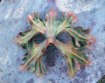 White Oak Leaf Green man in Autumn