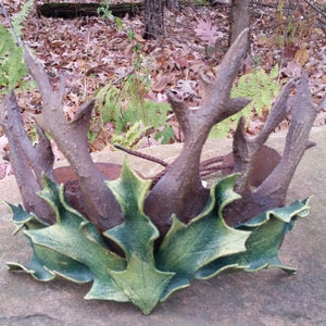 Leather Twig Crown in Green image 1