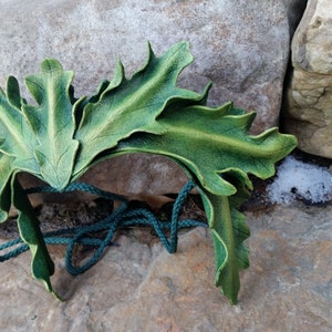 Oak leaf face frame in Green