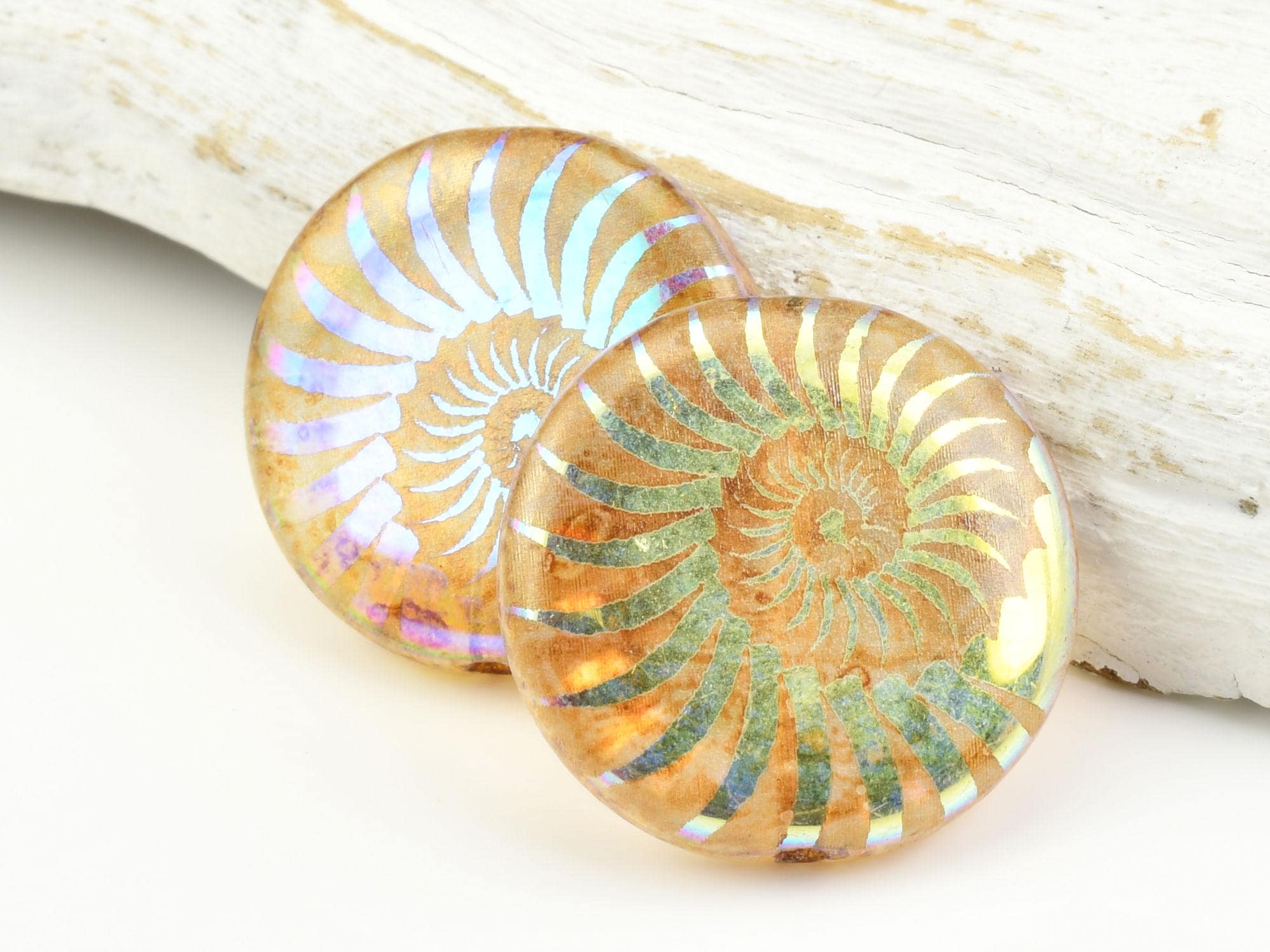 Flat spiral shells - Etsy 日本