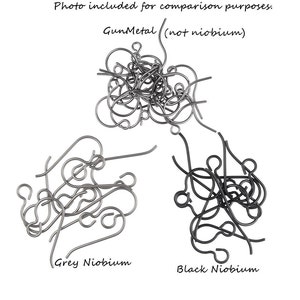 10 alambres de pendientes de niobio Hallazgos de orejas de niobio negro Hallazgos de pendientes hipoalergénicos Ganchos franceses Hallazgos de niobio Ganchos para orejas PH39 imagen 3