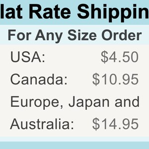 May include: A chart showing flat rate shipping prices for different countries. The prices are $4.50 for the USA, $10.95 for Canada, and $14.95 for Europe, Japan, and Australia.