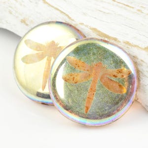 May include: Two round glass cabochons with iridescent edges, each featuring a pressed image of a dragonfly with orange wings against a green and yellow background.