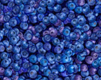 Fresh Blueberries Dan Morris Quilting Treasures Fabric