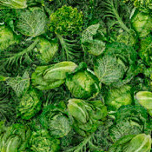 Fresh Mixed Greens Dan Morris Quilting Treasures Fabric