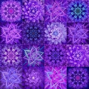 May include: A purple and blue patterned background with a repeating design of flowers and geometric shapes.