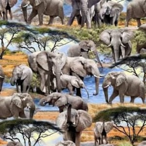 Elefanti Dawn Trunk Show Tessuto Michael Miller