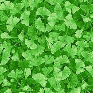May include: A seamless pattern of green ginkgo leaves, creating a lush and vibrant background.