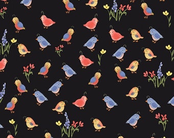 Quails Black Beautiful Day Riley Blake Fabric