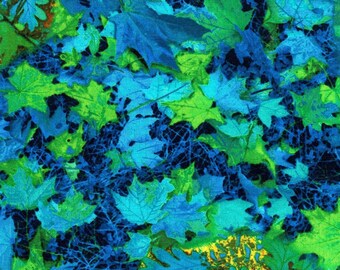 A forest scene in striking colors Electric Nature panel from Timeless Treasures C7764 Absolutely stunning!