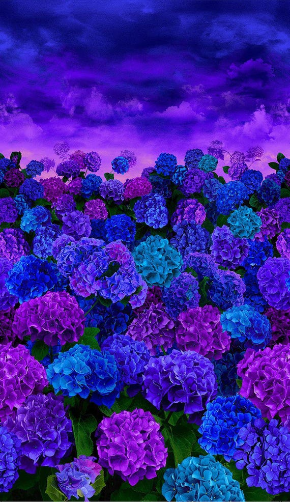 Hydrangea at Dusk Chong-a Hwang Timeless Treasures Fabric 24