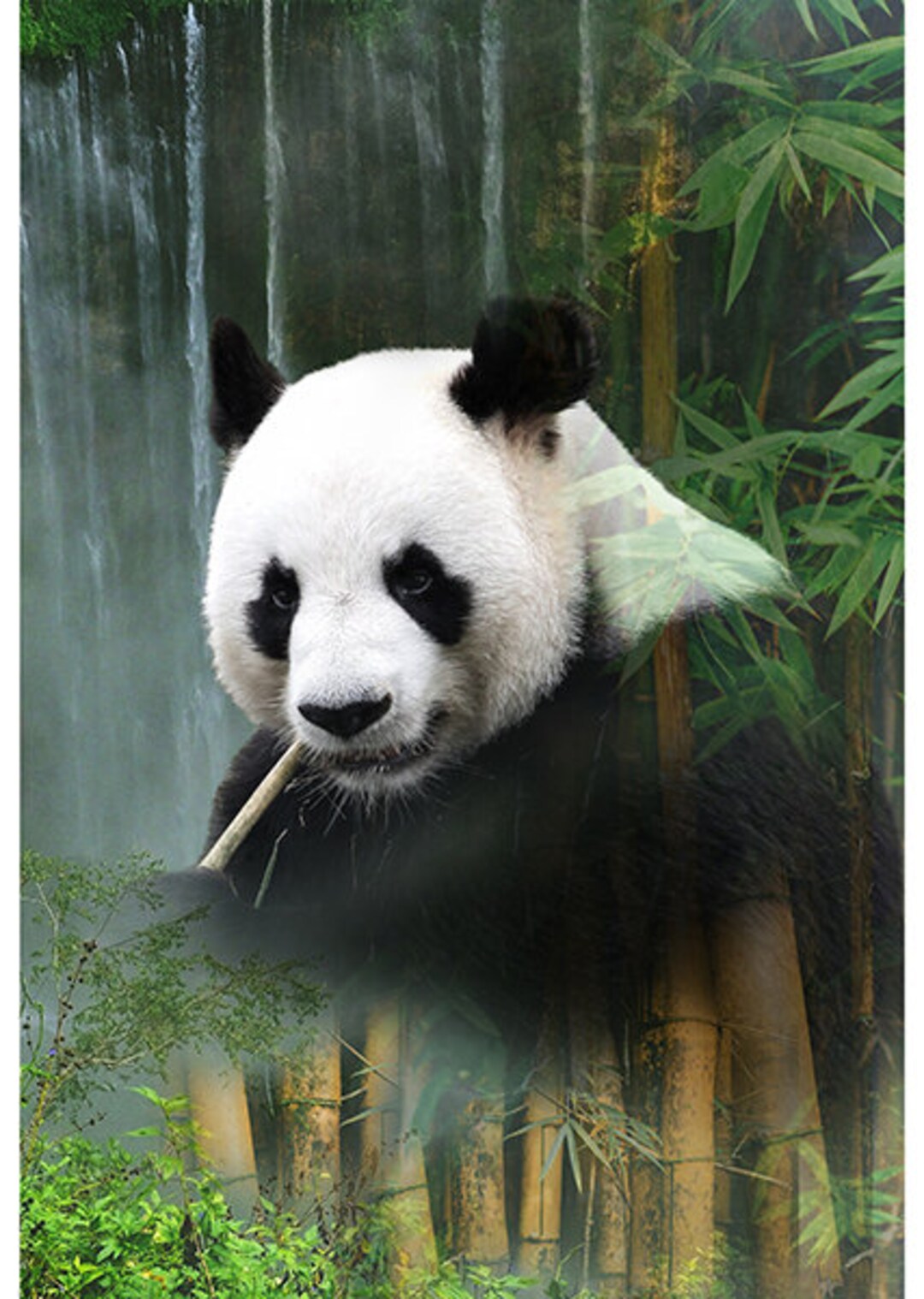 Panda Waterfall Call of the Wild Digital Hoffman Fabric Panel LAST