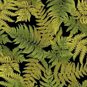 Fern Leaves Metallic Black Timeless Treasures Fabric