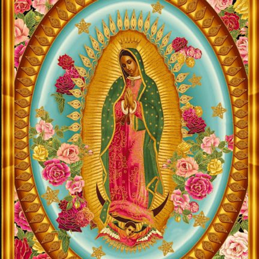 Virgin Mary Our Lady of Guadalupe Kaufman Fabric Panel - Etsy
