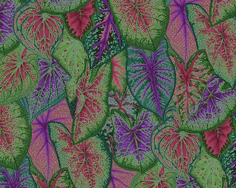 Kaffe Fassett Caladiums Dark Free Spirit Fabric