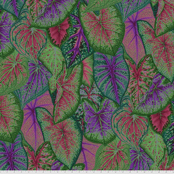 Kaffe Fassett Caladiums Dark Free Spirit Fabric