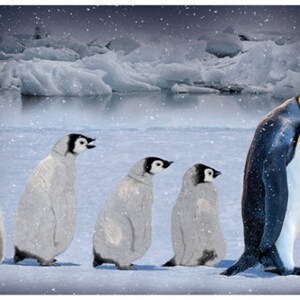 Puede incluir: Cinco pingüinos caminan por un paisaje nevado, con un pingüino más grande liderando el camino. Los pingüinos son todos blancos con ojos y picos negros. El fondo es un paisaje nevado con un cielo azul.