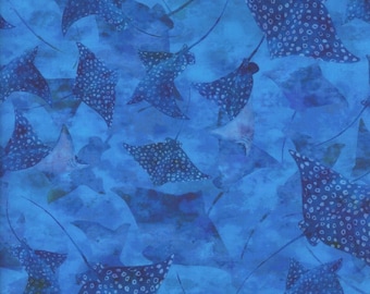 Stingrays Blue Calypso III Jason Yenter In the Beginning-stof