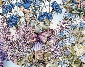 Flower Fairy Cicely Mary Barker Periwinkle Michael Miller Fabric