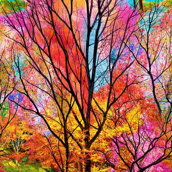 Electric Forest Large Scale Tree Timeless Treasures Fabric Panel LAST IN STOCK