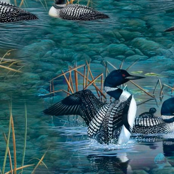 Lakeside Loons Blue Quilting Treasures Fabric