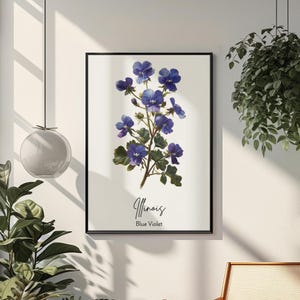 Può includere: Un'illustrazione botanica di un fiore di violetta blu, con il testo "Illinois Blue Violet" stampato sotto l'immagine.