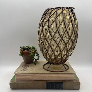 May include: A decorative glass vase with a woven metal cage. The vase is a light amber color and sits on a metal stand. A small potted plant with green, string-like leaves is to the left of the vase. The vase is on top of two old books.