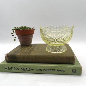 May include: A yellow glass bowl with a diamond pattern sits atop a stack of vintage books. A small terracotta pot with a trailing succulent plant is to the left. The book titles are visible.
