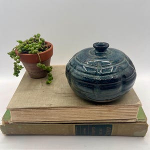 May include: A teal ceramic lidded jar with a textured surface sits atop two vintage books. A small terracotta pot with a trailing succulent plant is to the left of the jar. The background is white.