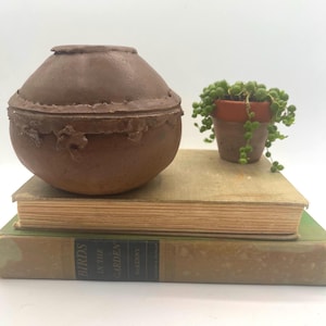 May include: A brown, lidded ceramic container with a textured surface sits atop two vintage books. A small terracotta pot with a trailing plant is to the right. The books have aged covers, and the container has a decorative edge.