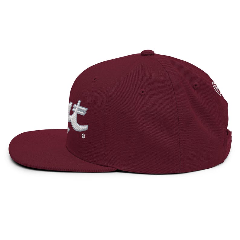 Streetstyle Cap Embroidered Snapback Hat