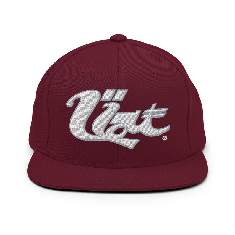 Streetstyle Cap Embroidered Snapback Hat
