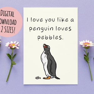 Te amo como un pingüino ama a Pebbles Tarjeta de felicitación, San Valentín, aniversario, regalo para ella, él, esposa, esposo, descarga digital imprimible